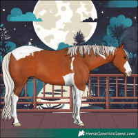 Horse Color:Silver Bay Tobiano