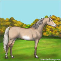 Horse Color:Silver Bay Dun Sabino Frame Rabicano 