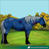 Horse Color:ERROR: UNKNOWN ANOMALY