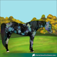 Horse Color:ERROR: UNKNOWN ANOMALY