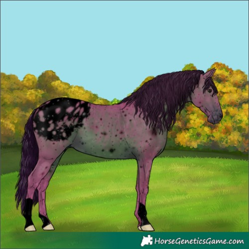 Horse Color:ERROR: UNKNOWN ANOMALY