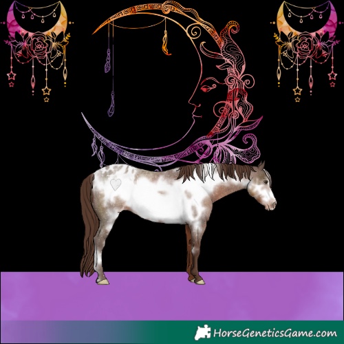 Horse Color:Liver Red Roan Frame Varnish 