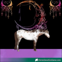 Horse Color:Liver Red Roan Frame Appaloosa