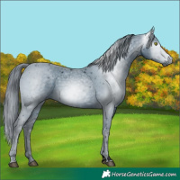 Horse Color:ERROR: UNKNOWN ANOMALY