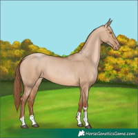 Horse Color:Brown Pearl Dun Tobiano