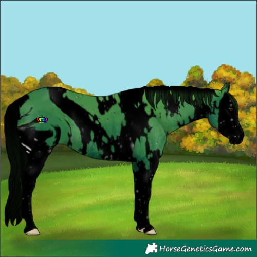 Horse Color:ERROR: UNKNOWN ANOMALY