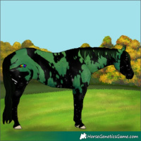 Horse Color:ERROR: UNKNOWN ANOMALY