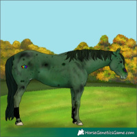Horse Color:ERROR: UNKNOWN ANOMALY