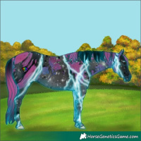 Horse Color:ERROR: UNKNOWN ANOMALY