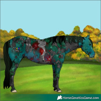 Horse Color:ERROR: UNKNOWN ANOMALY