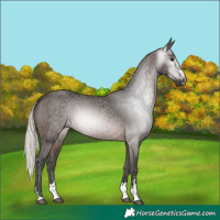 Horse Color:Gray Silver Brown Ice 