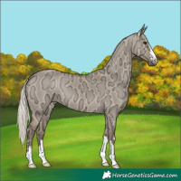 Horse Color:Silver Grullo Ice 