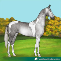 Horse Color:Gray Silver Black Ice Tobiano Varnish Rabicano 