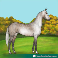 Horse Color:Gray Silver Bay Ice Dun 