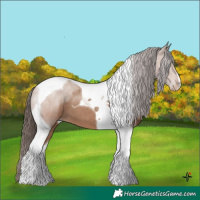 Horse Color:Classic Champagne Tobiano 