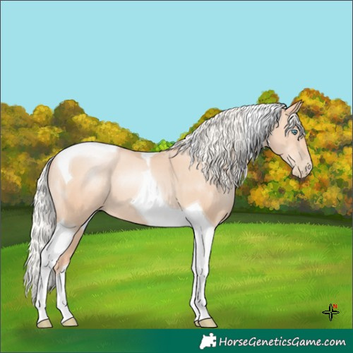Horse Color:Silver Classic Champagne Pearl Tobiano 