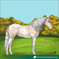 Horse Color:Silver Classic Champagne Pearl Tobiano