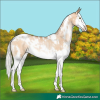 Horse Color:White Spotted Silver Brown Pearl Dun Splash Rabicano 