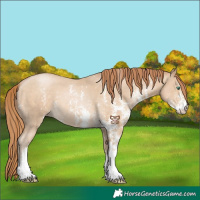 Horse Color:Smoky Black Pearl Sabino 