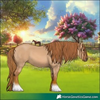 Horse Color:Red Dun