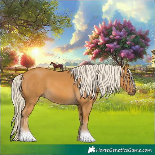 Horse Color:Palomino
