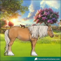 Horse Color:Palomino
