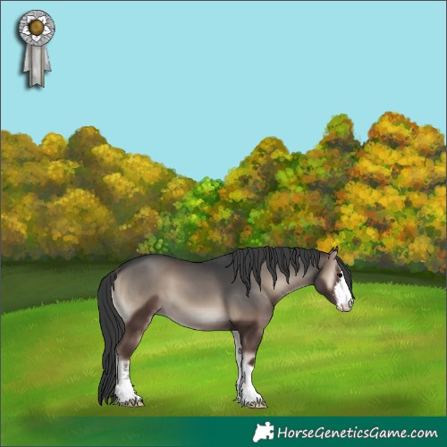 Horse Color:White Spotted Blue Onyx 