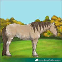 Horse Color:Classic Cream Champagne Ice 