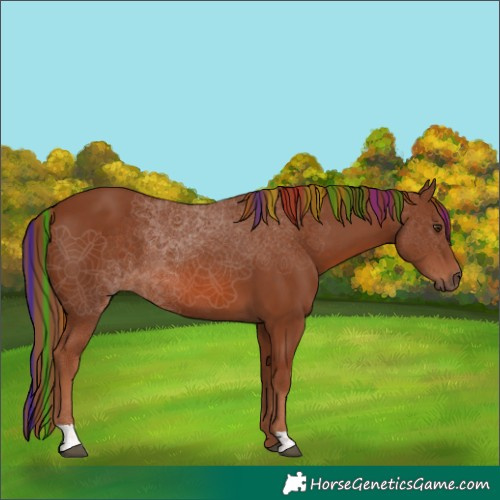Horse Color:Painted Chestnut 