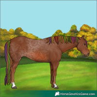 Horse Color:Painted Chestnut 