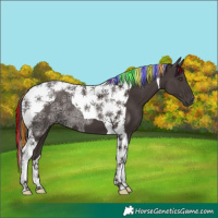 Horse Color:Painted Liver Chestnut Ice Tobiano