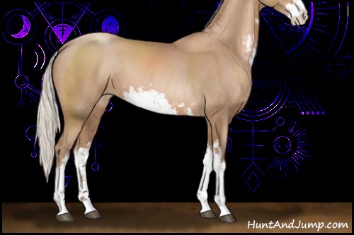 Horse Color:Silver Black Pearl Sabino 