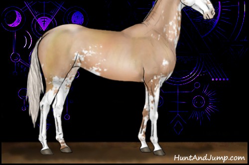 Horse Color:Silver Black Pearl Sabino 