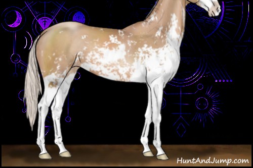 Horse Color:Silver Black Pearl Sabino 