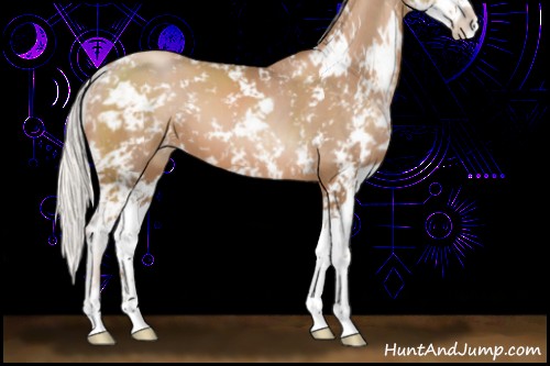 Horse Color:Silver Black Pearl Sabino 