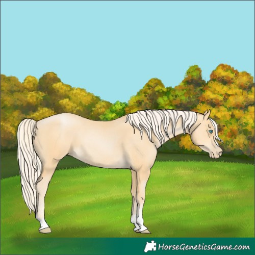 Horse Color:Palomino Pearl 