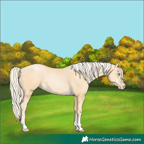 Horse Color:Palomino Pearl 