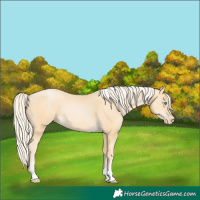 Horse Color:Palomino Pearl 