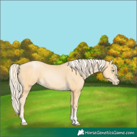 Horse Color:Palomino Pearl 