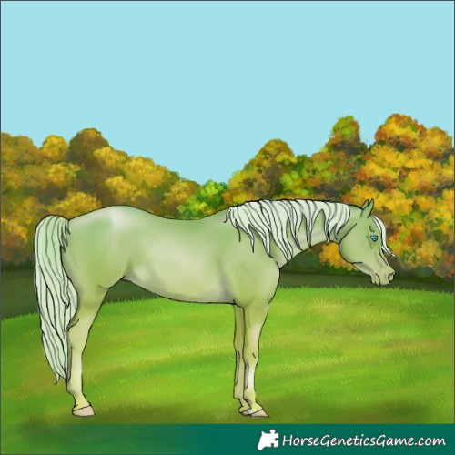 Horse Color:Palomino Pearl 