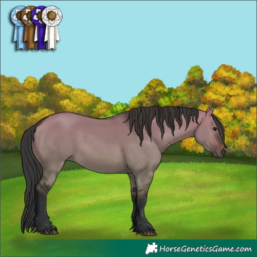 Horse Color:Brown Dun 
