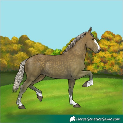Horse Color:Silver Smoky Black 