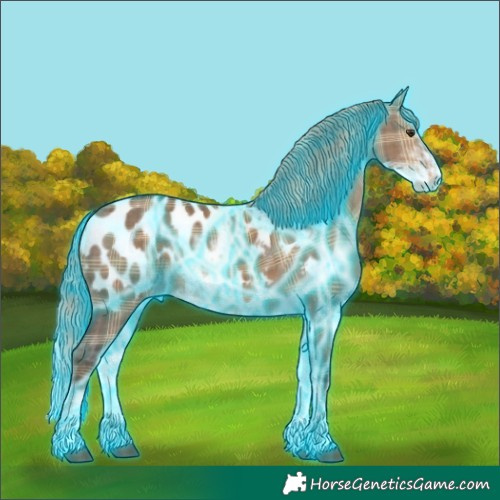 Horse Color:Thunderstruck Plaid  Liver Red Dun Sabino Appaloosa 