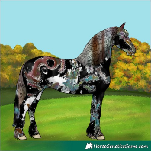 Horse Color:ERROR: UNKNOWN ANOMALY