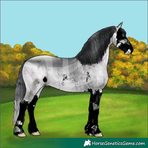 Horse Color:ERROR: UNKNOWN ANOMALY