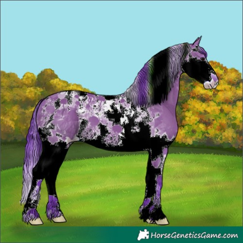 Horse Color:Watercolor Grullo Splash Tobiano 