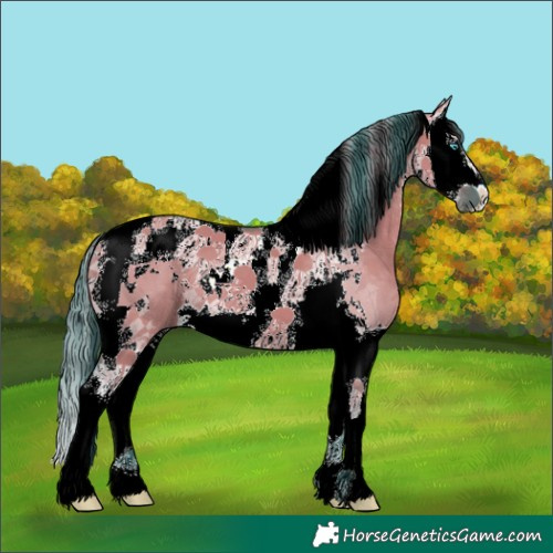 Horse Color:Watercolor Grullo Splash Tobiano 