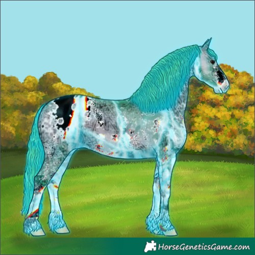 Horse Color:Thunderstruck Watercolor Bay Ice Onyx Sabino Appaloosa 