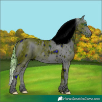 Horse Color:ERROR: UNKNOWN ANOMALY