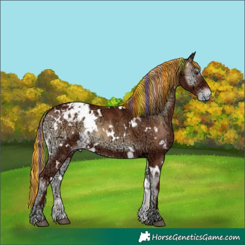 Horse Color:Painted White Spotted Red Onyx Ice Appaloosa 